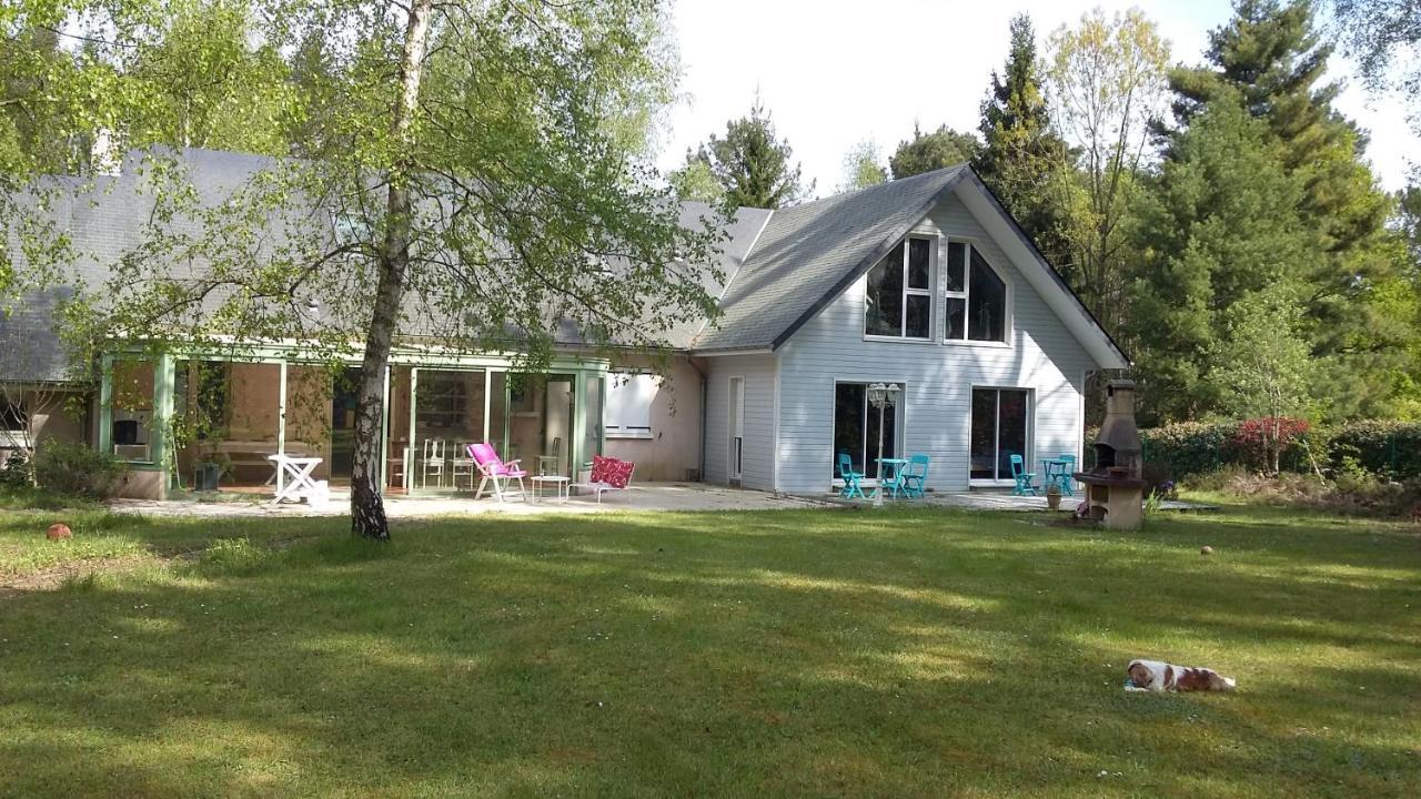 B&B La Foret De Charmeuse Ruaudin Ngoại thất bức ảnh