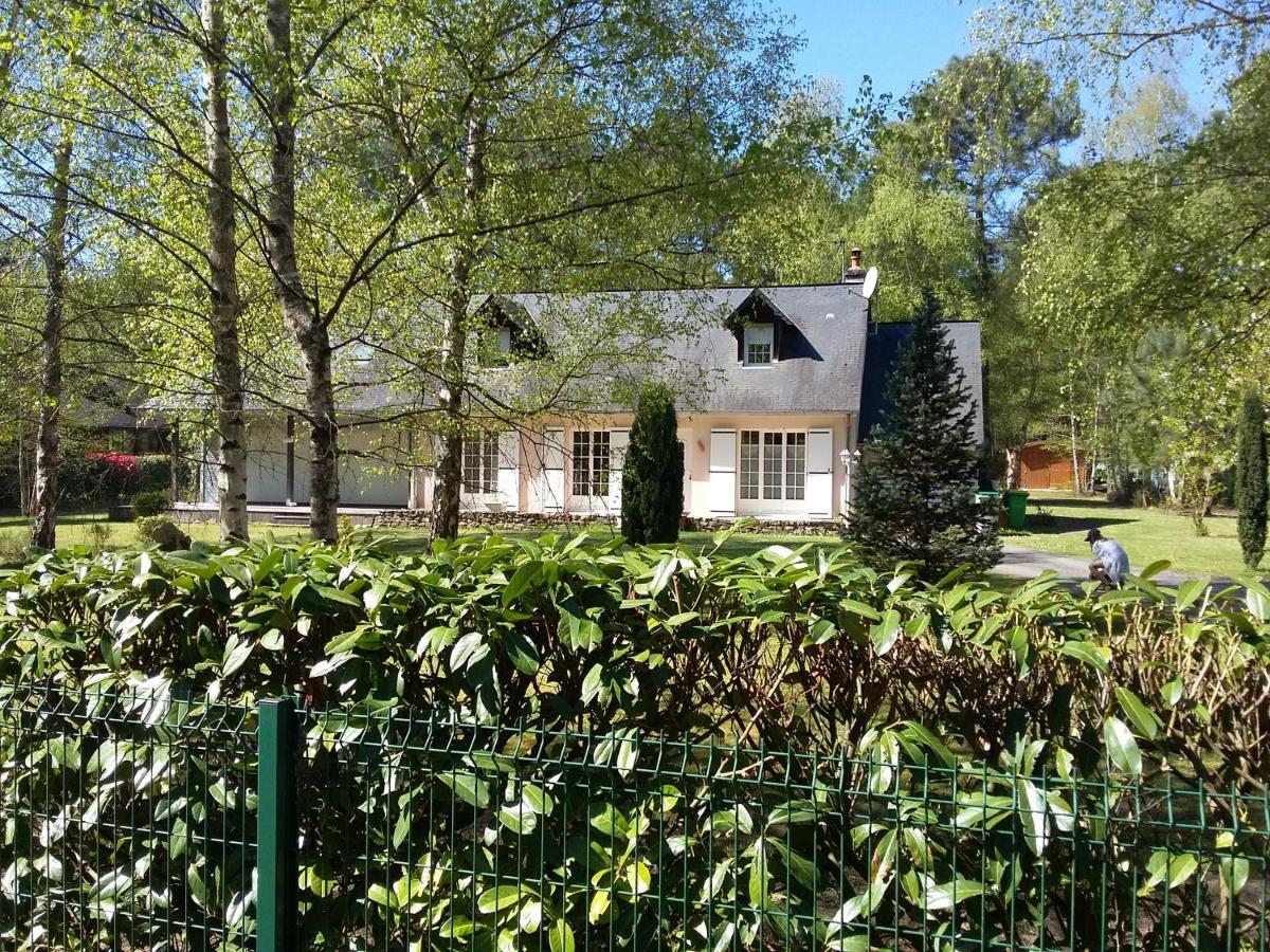 B&B La Foret De Charmeuse Ruaudin Ngoại thất bức ảnh